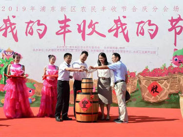 中國農民豐收節