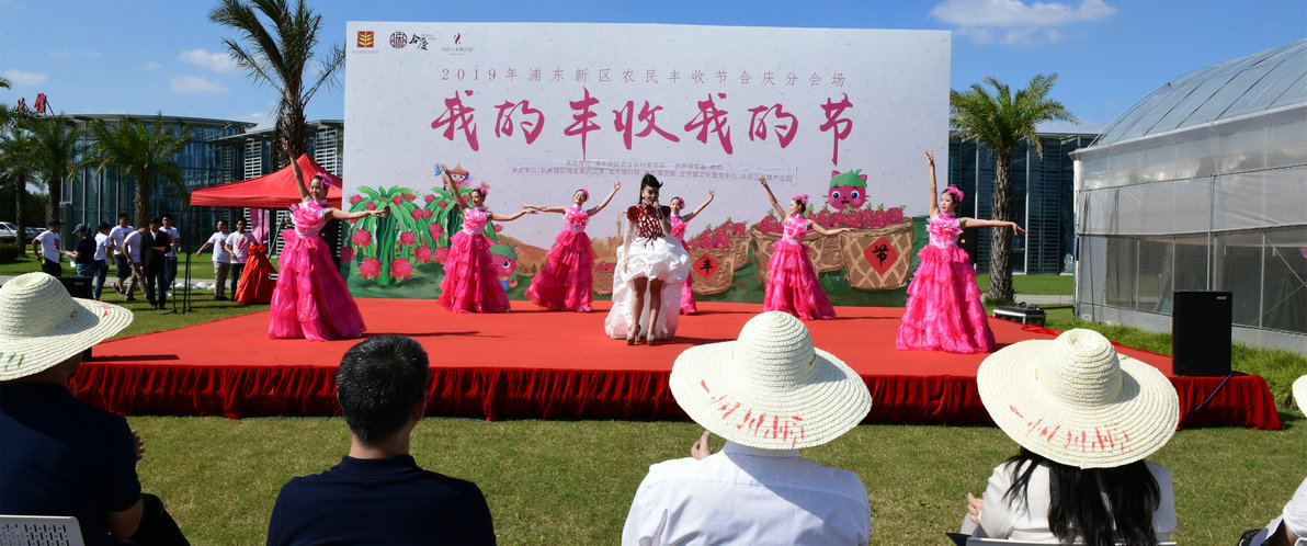 中國農民豐收節